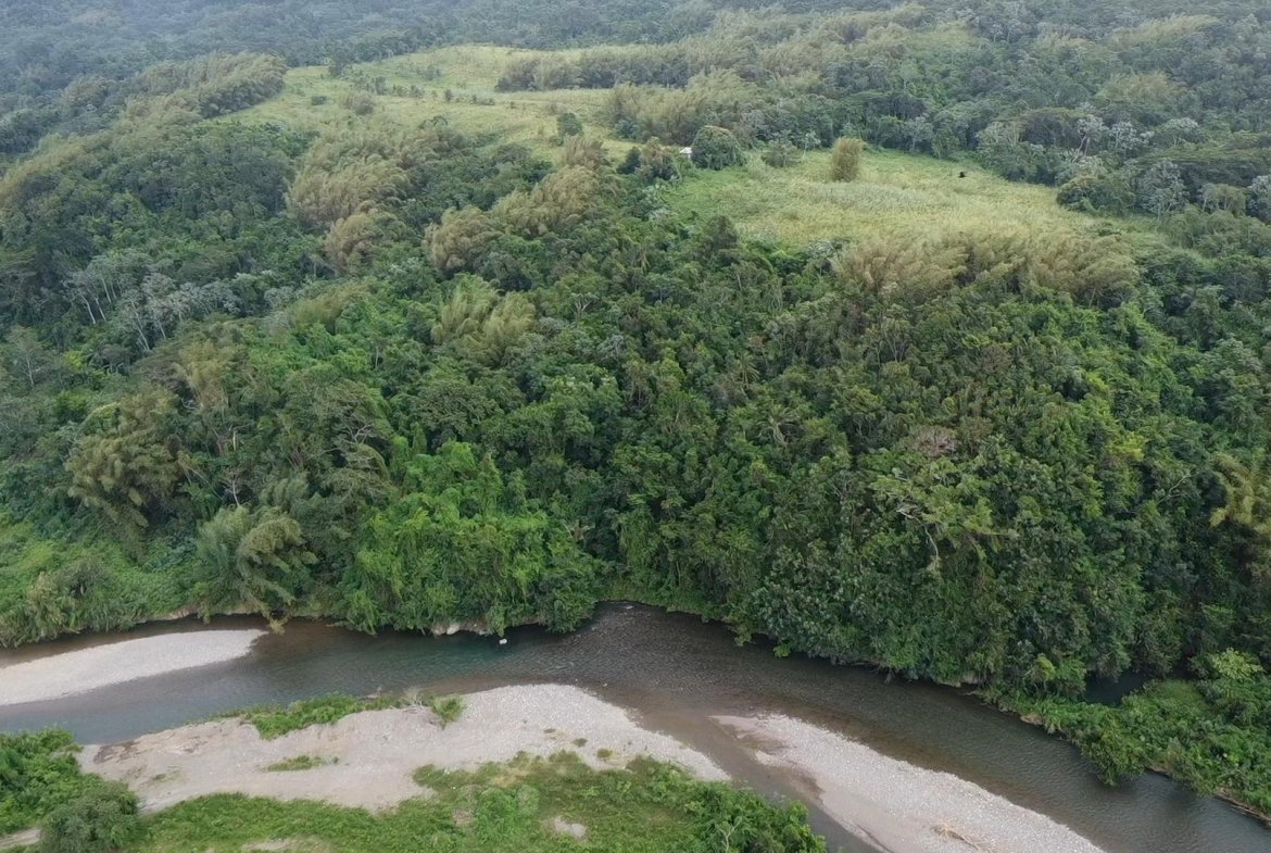Fifth image of Pear Tree River St. Thoma in Pear Tree River, St. Thomas, Jamaica - property is For Sale