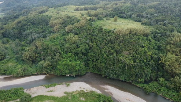 Fifth image of Pear Tree River St. Thoma in Pear Tree River, St. Thomas, Jamaica - property is For Sale