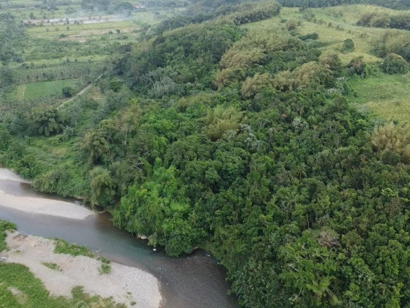 First image of Pear Tree River St. Thoma in Pear Tree River, St. Thomas, Jamaica - property is For Sale