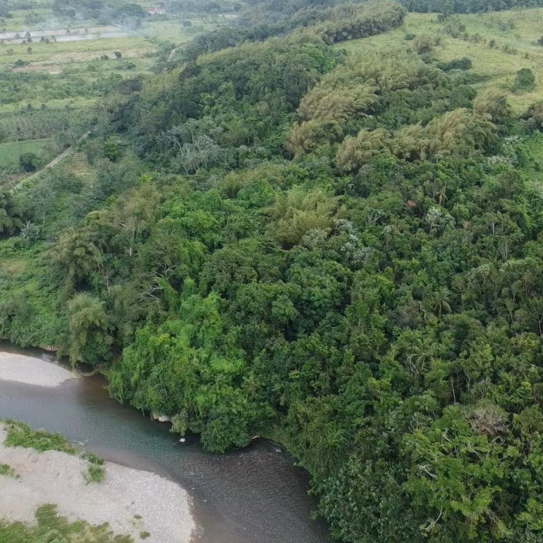 First image of Pear Tree River St. Thoma in Pear Tree River, St. Thomas, Jamaica - property is For Sale