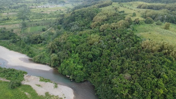 First image of Pear Tree River St. Thoma in Pear Tree River, St. Thomas, Jamaica - property is For Sale