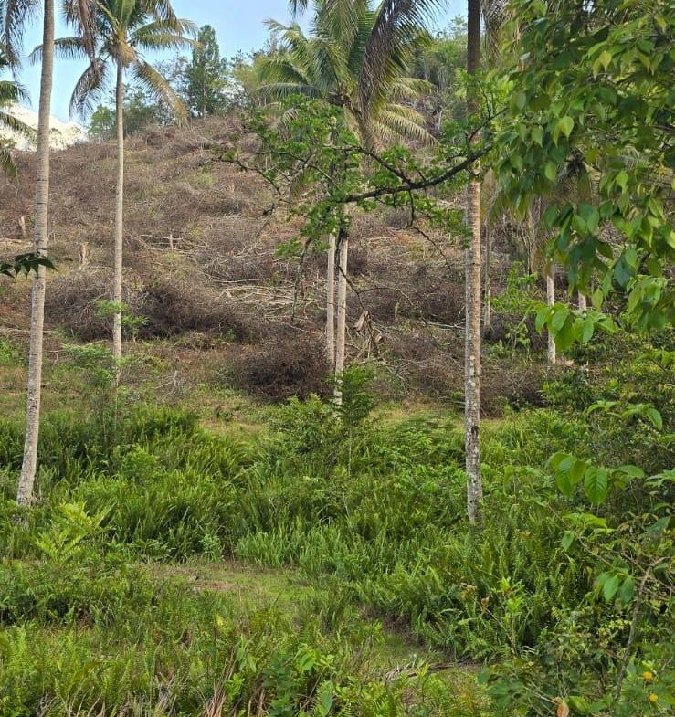 Thirteenth image of 88 Brixton Road, Jackson Tow in Jackson Town, Trelawny, Jamaica - property is For Sale