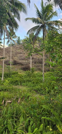 Thirteenth image of 88 Brixton Road, Jackson Tow in Jackson Town, Trelawny, Jamaica - property is For Sale