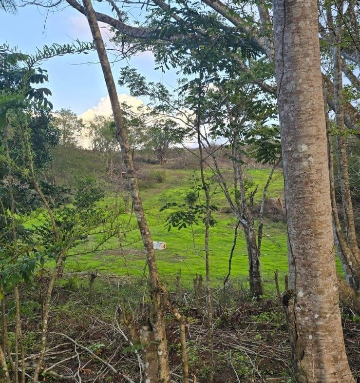 Fifteenth image of 88 Brixton Road, Jackson Tow in Jackson Town, Trelawny, Jamaica - property is For Sale