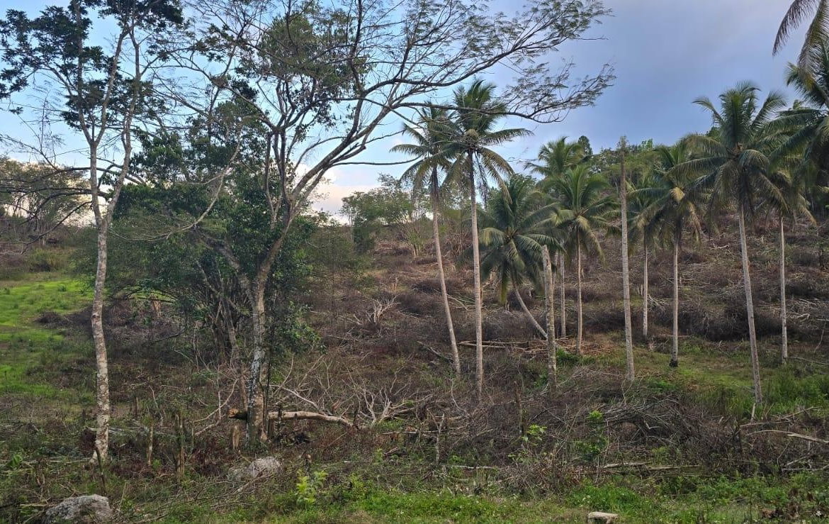 Sixteenth image of 88 Brixton Road, Jackson Tow in Jackson Town, Trelawny, Jamaica - property is For Sale