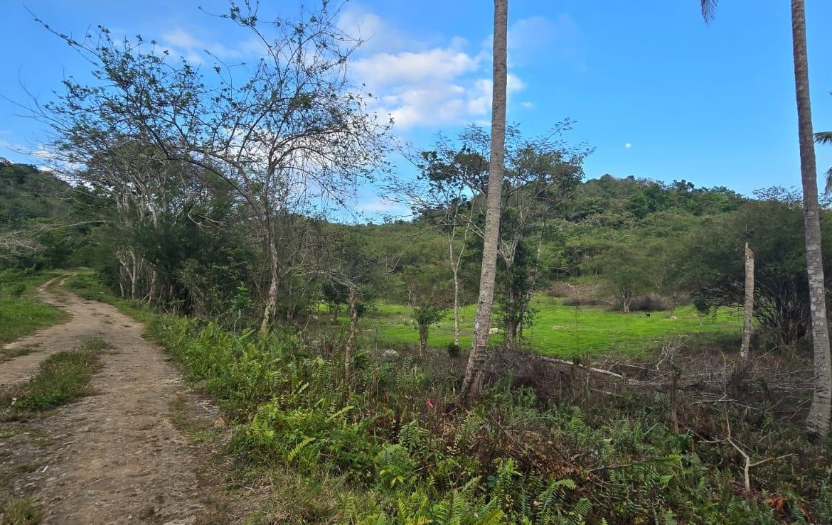 Third image of 88 Brixton Road, Jackson Tow in Jackson Town, Trelawny, Jamaica - property is For Sale