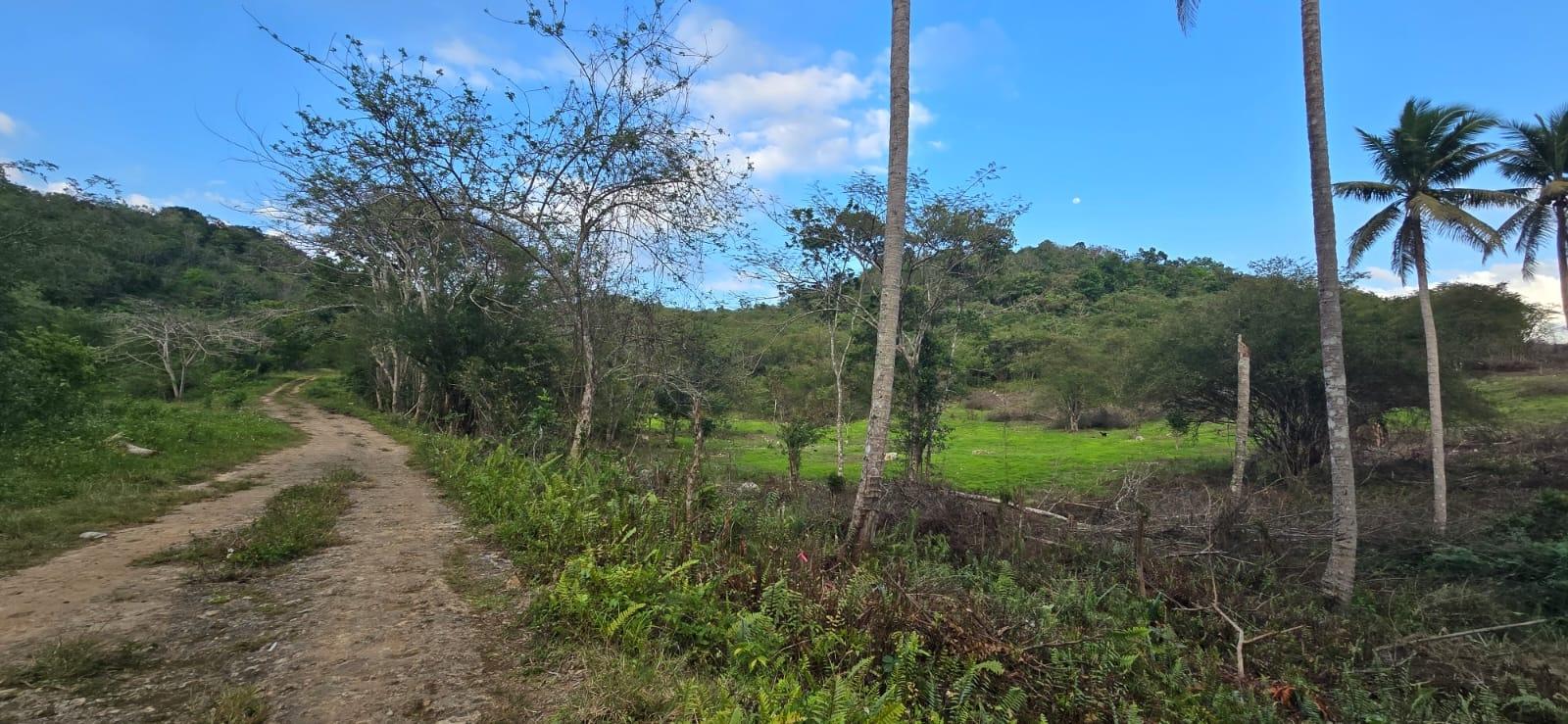 7.5-Acre-Residential-Lot-for-Sale-in-Trelawny-Jamaica-88-Brixton-Road Third image of 88 Brixton Road, Jackson Tow in Jackson Town, Trelawny, Jamaica - property is For Sale