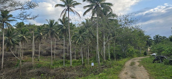 Fifth image of 88 Brixton Road, Jackson Tow in Jackson Town, Trelawny, Jamaica - property is For Sale