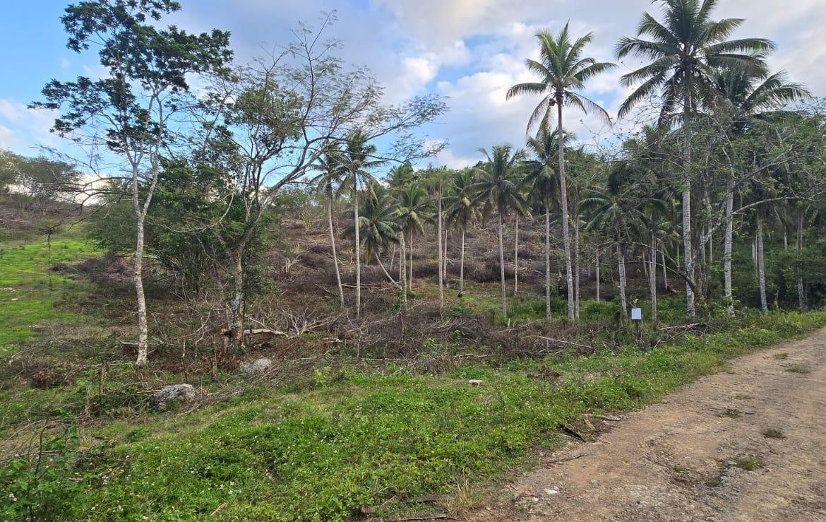 Sixth image of 88 Brixton Road, Jackson Tow in Jackson Town, Trelawny, Jamaica - property is For Sale