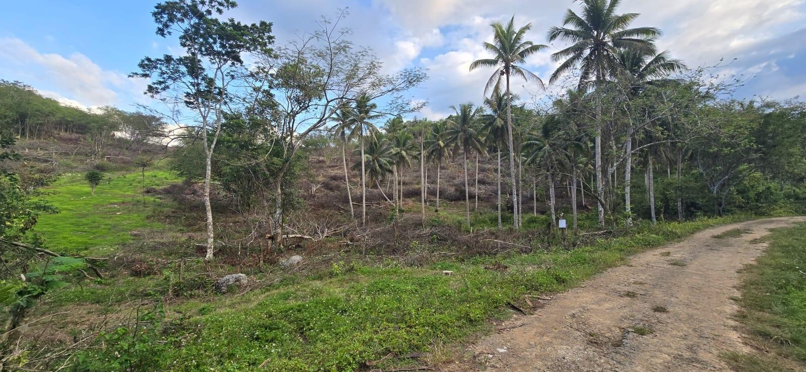 7.5-Acre-Residential-Lot-for-Sale-in-Trelawny-Jamaica-88-Brixton-Road Sixth image of 88 Brixton Road, Jackson Tow in Jackson Town, Trelawny, Jamaica - property is For Sale