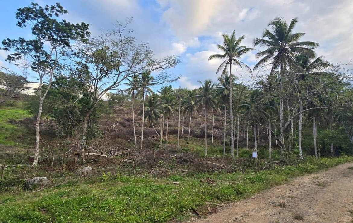 Seventh image of 88 Brixton Road, Jackson Tow in Jackson Town, Trelawny, Jamaica - property is For Sale