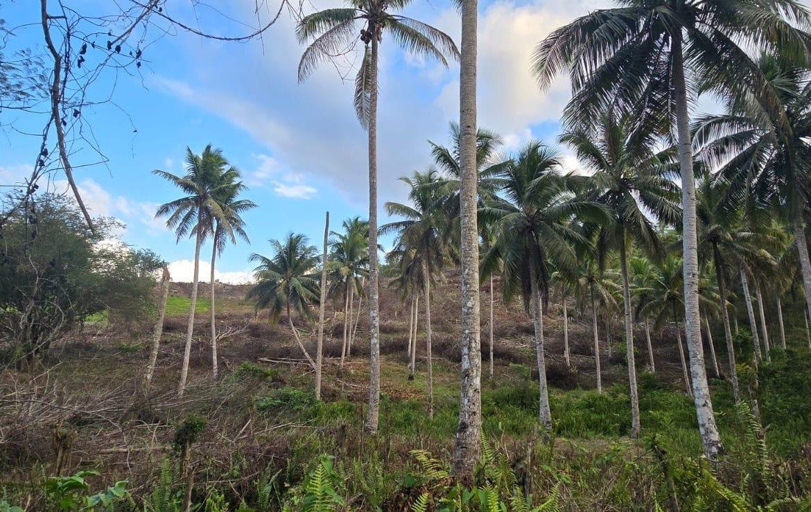 Eighth image of 88 Brixton Road, Jackson Tow in Jackson Town, Trelawny, Jamaica - property is For Sale