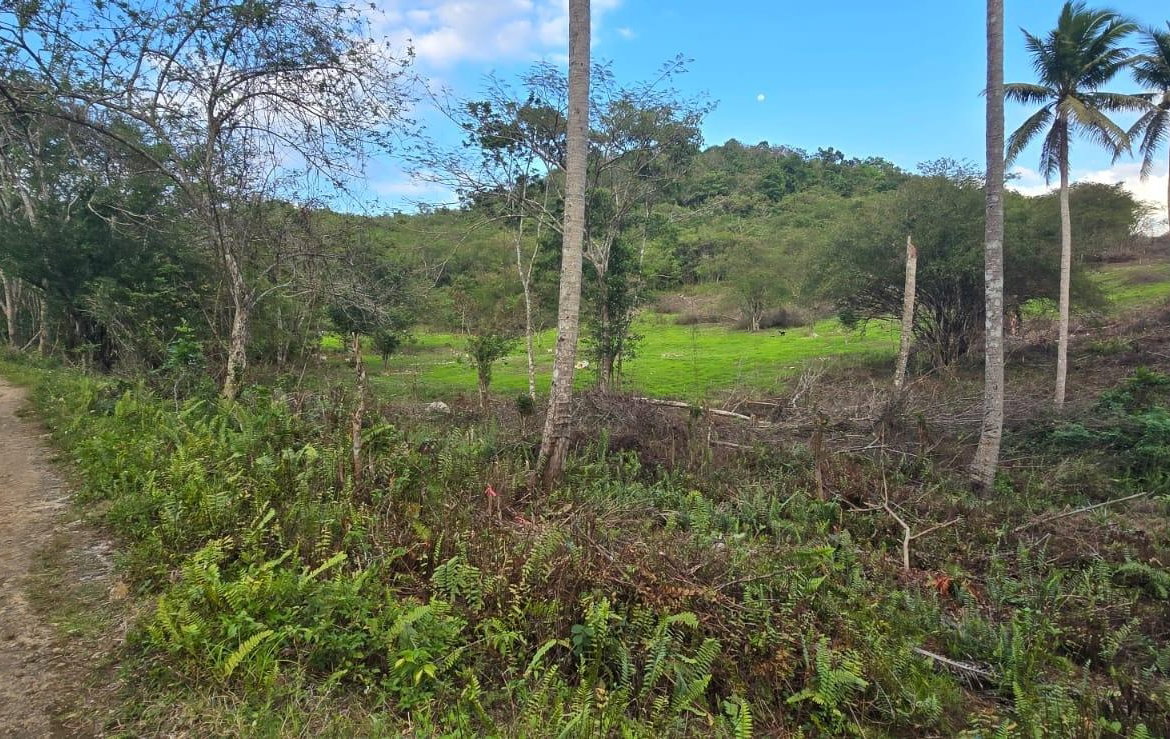 Ninth image of 88 Brixton Road, Jackson Tow in Jackson Town, Trelawny, Jamaica - property is For Sale