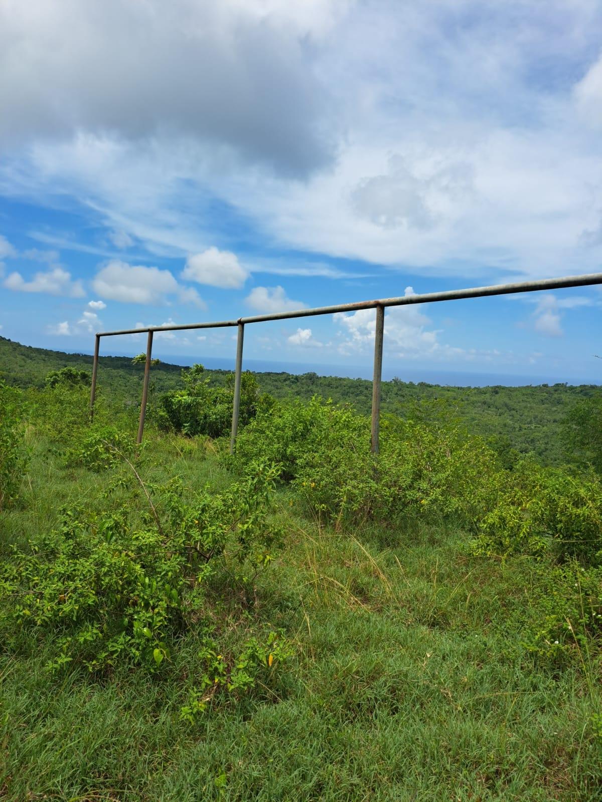 Second image of Bryan Castle Estate in Rio Bueno, Trelawny, Jamaica - property is For Sale
