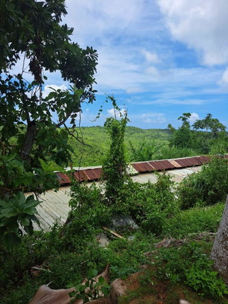 Third image of Bryan Castle Estate in Rio Bueno, Trelawny, Jamaica - property is For Sale