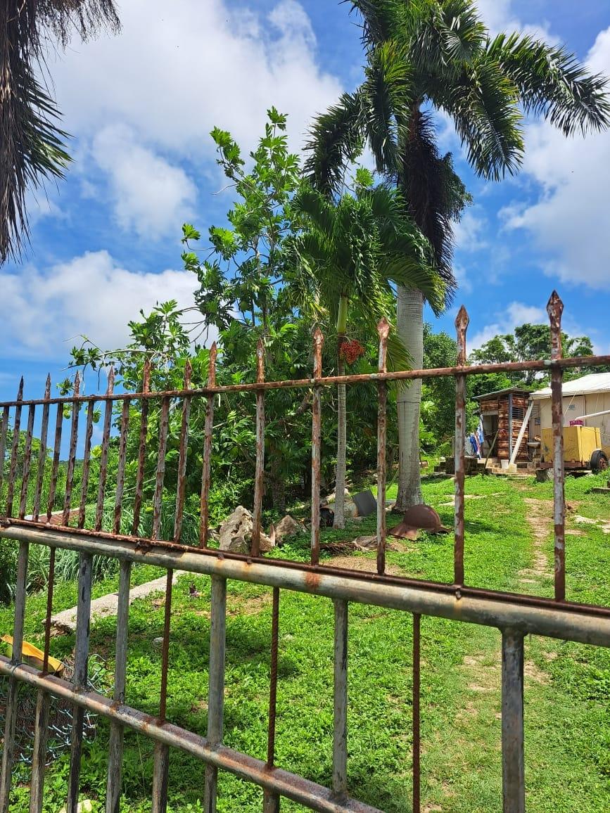 Fourth image of Bryan Castle Estate in Rio Bueno, Trelawny, Jamaica - property is For Sale