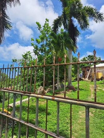 Fourth image of Bryan Castle Estate in Rio Bueno, Trelawny, Jamaica - property is For Sale