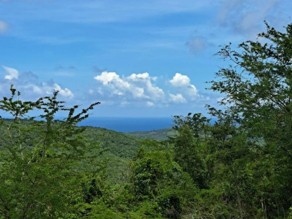 First image of Bryan Castle Estate in Rio Bueno, Trelawny, Jamaica - property is For Sale