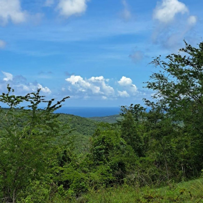 First image of Bryan Castle Estate in Rio Bueno, Trelawny, Jamaica - property is For Sale