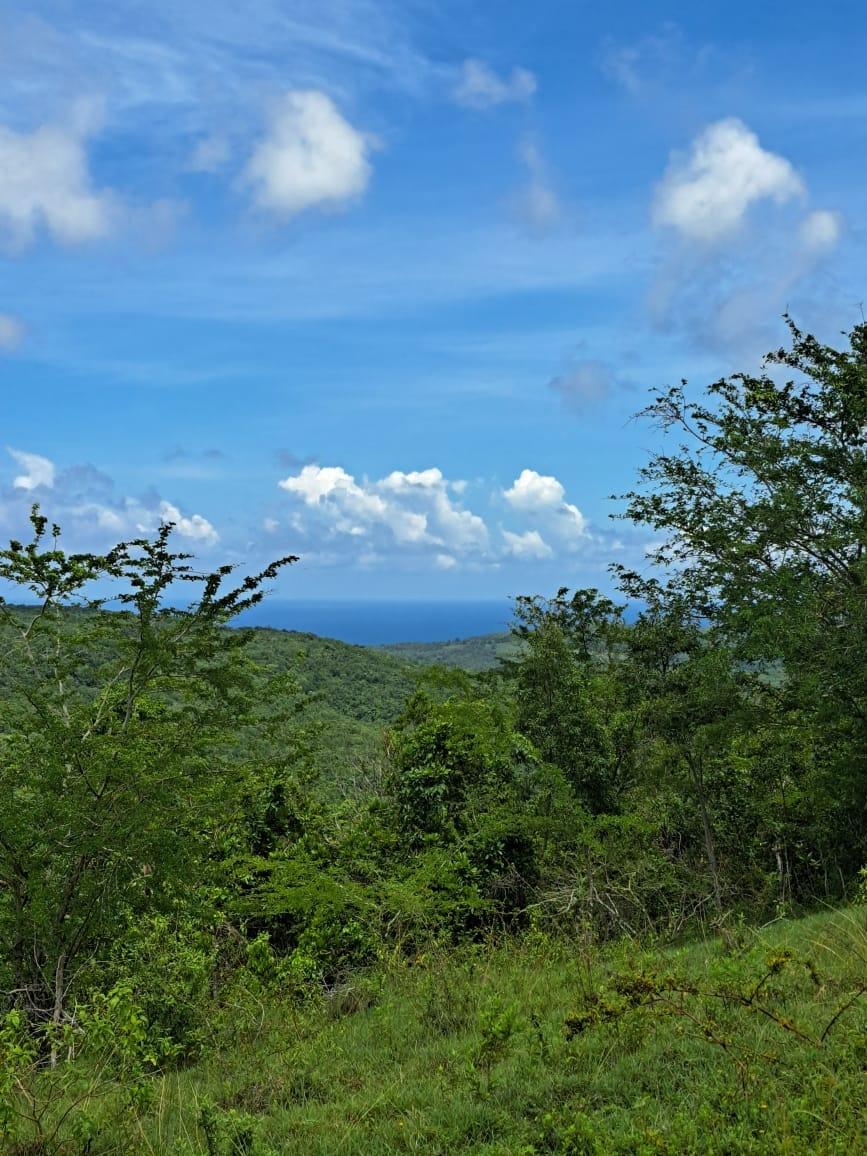 First image of Bryan Castle Estate in Rio Bueno, Trelawny, Jamaica - property is For Sale