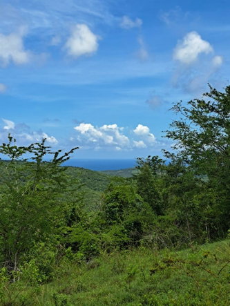 First image of Bryan Castle Estate in Rio Bueno, Trelawny, Jamaica - property is For Sale
