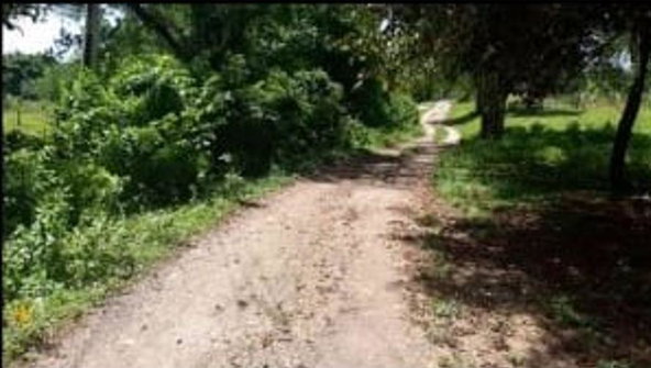 Second image of Unity, Wakefield in Wakefield, Trelawny, Jamaica - property is For Sale