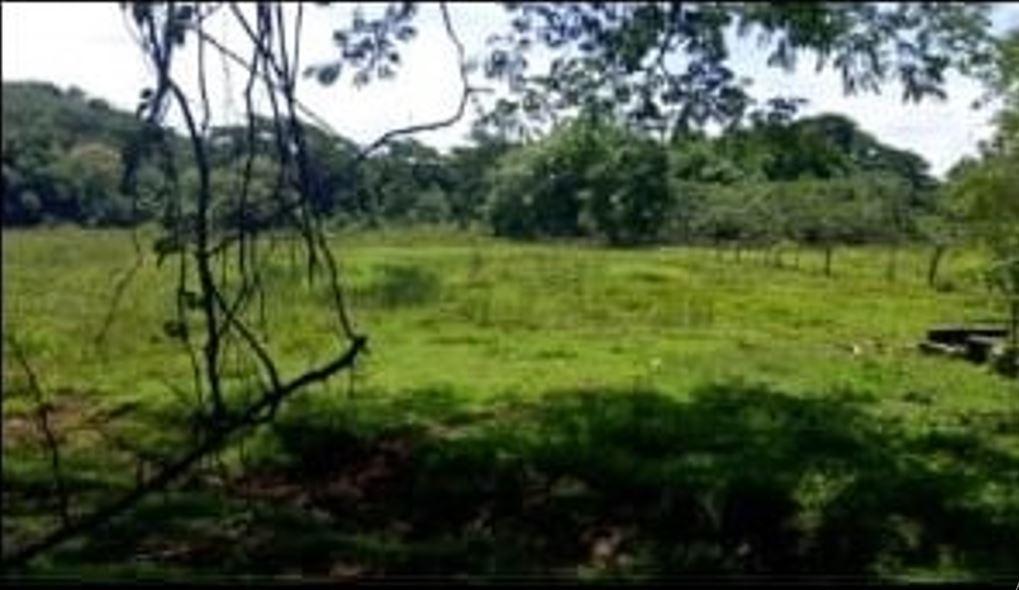 Third image of Unity, Wakefield in Wakefield, Trelawny, Jamaica - property is For Sale
