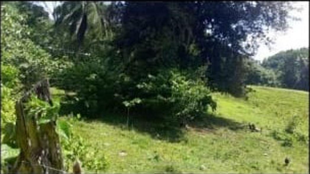 Fourth image of Unity, Wakefield in Wakefield, Trelawny, Jamaica - property is For Sale