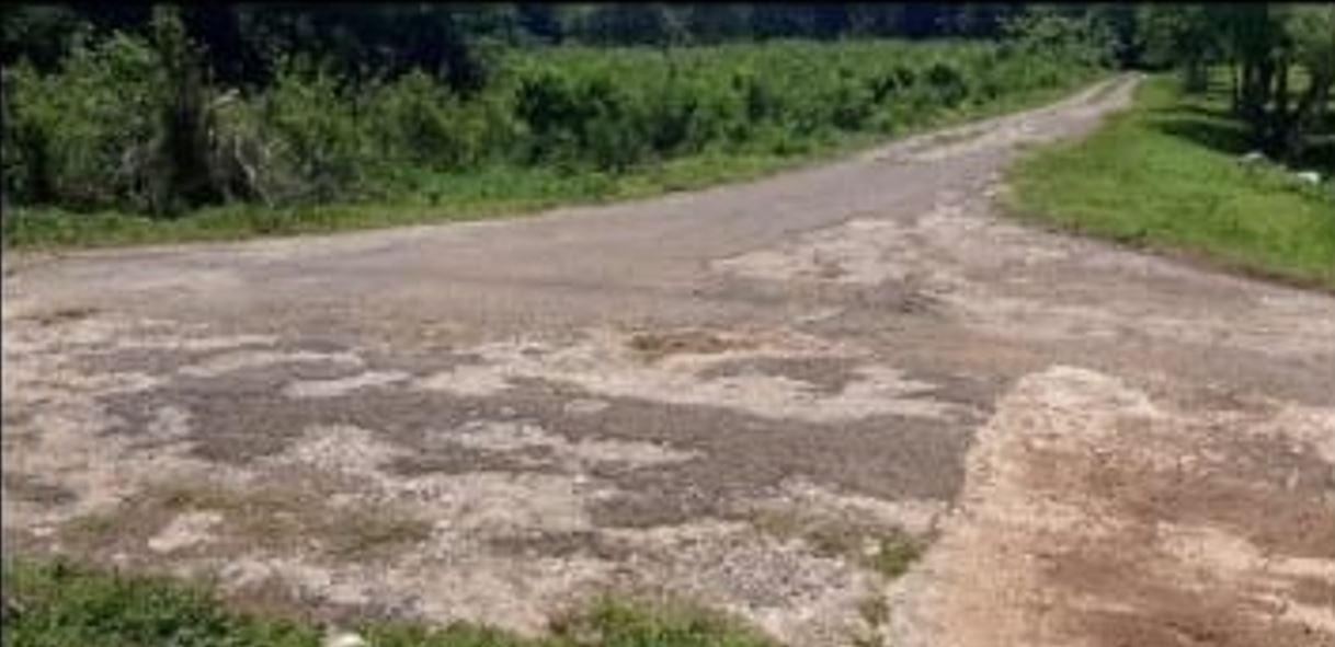 Fifth image of Unity, Wakefield in Wakefield, Trelawny, Jamaica - property is For Sale