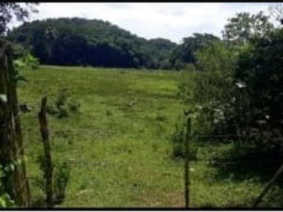 First image of Unity, Wakefield in Wakefield, Trelawny, Jamaica - property is For Sale