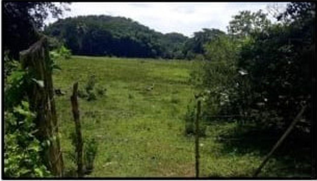 First image of Unity, Wakefield in Wakefield, Trelawny, Jamaica - property is For Sale