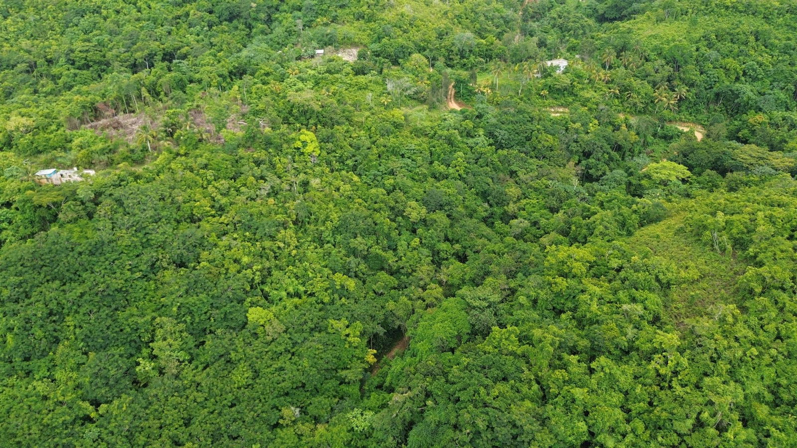 Eleventh image of Keith Hall in Sligoville, St. Catherine, Jamaica - property is For Sale