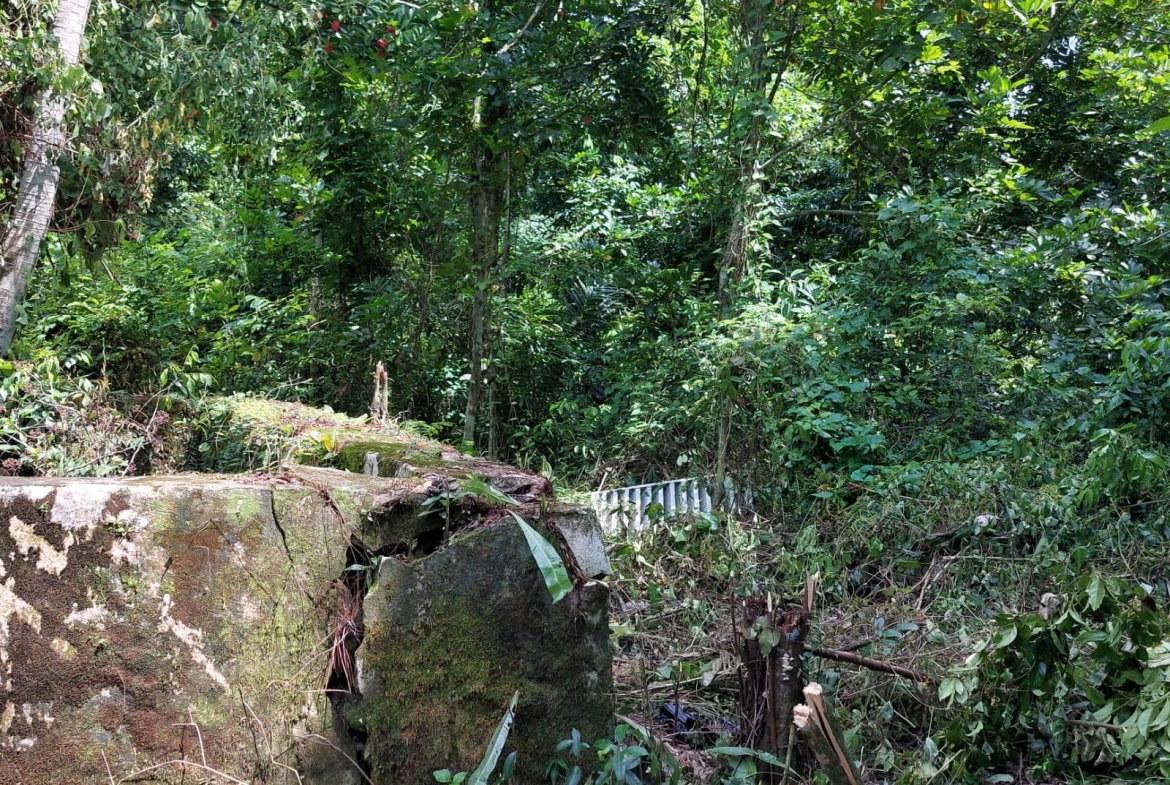 Third image of Keith Hall in Sligoville, St. Catherine, Jamaica - property is For Sale