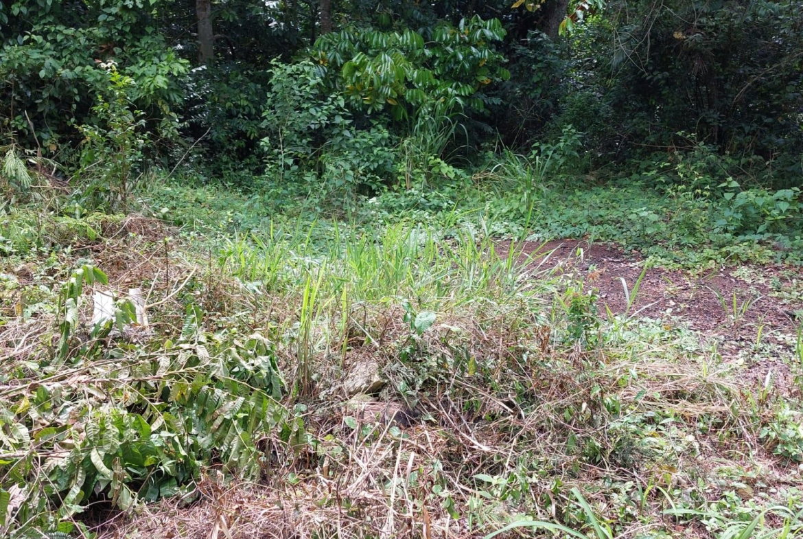 Fourth image of Keith Hall in Sligoville, St. Catherine, Jamaica - property is For Sale