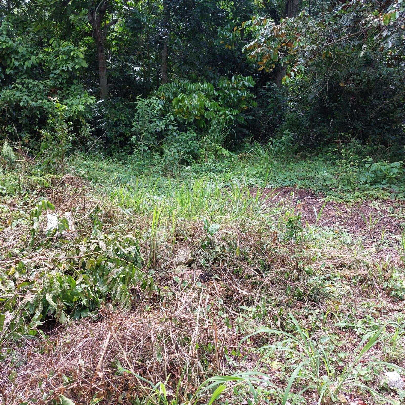 Fourth image of Keith Hall in Sligoville, St. Catherine, Jamaica - property is For Sale