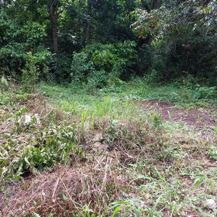 Fourth image of Keith Hall in Sligoville, St. Catherine, Jamaica - property is For Sale