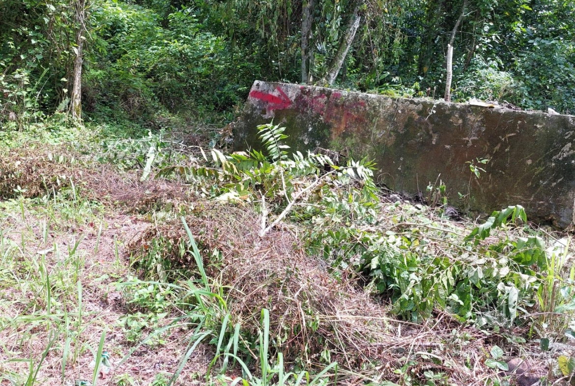 Fifth image of Keith Hall in Sligoville, St. Catherine, Jamaica - property is For Sale