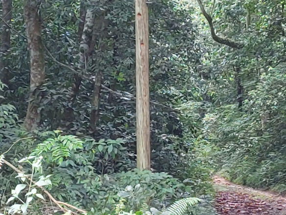 First image of Keith Hall in Sligoville, St. Catherine, Jamaica - property is For Sale