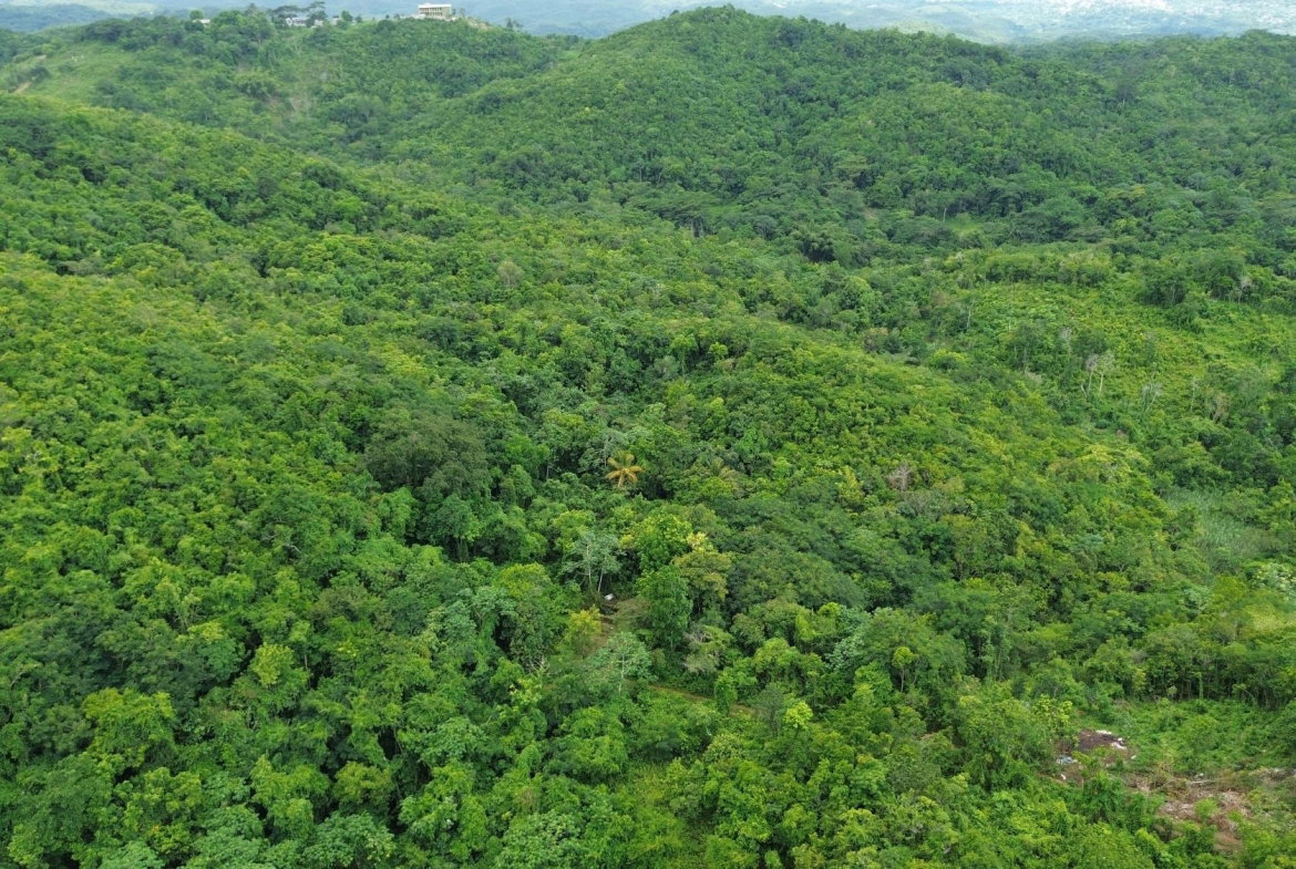Seventh image of Keith Hall in Sligoville, St. Catherine, Jamaica - property is For Sale