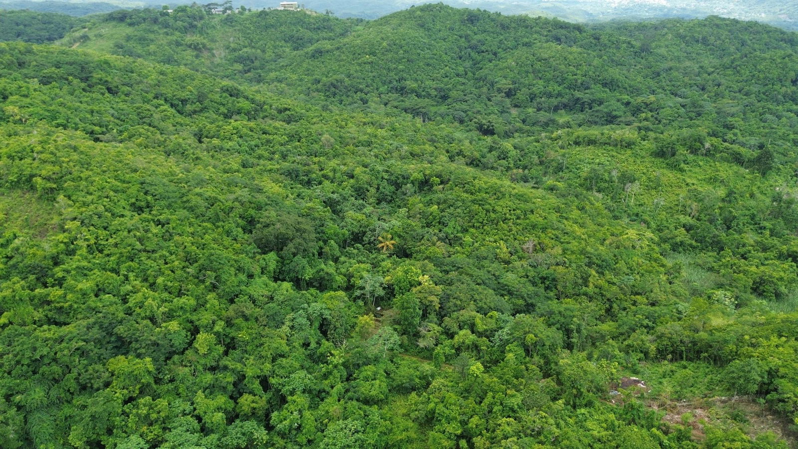Seventh image of Keith Hall in Sligoville, St. Catherine, Jamaica - property is For Sale