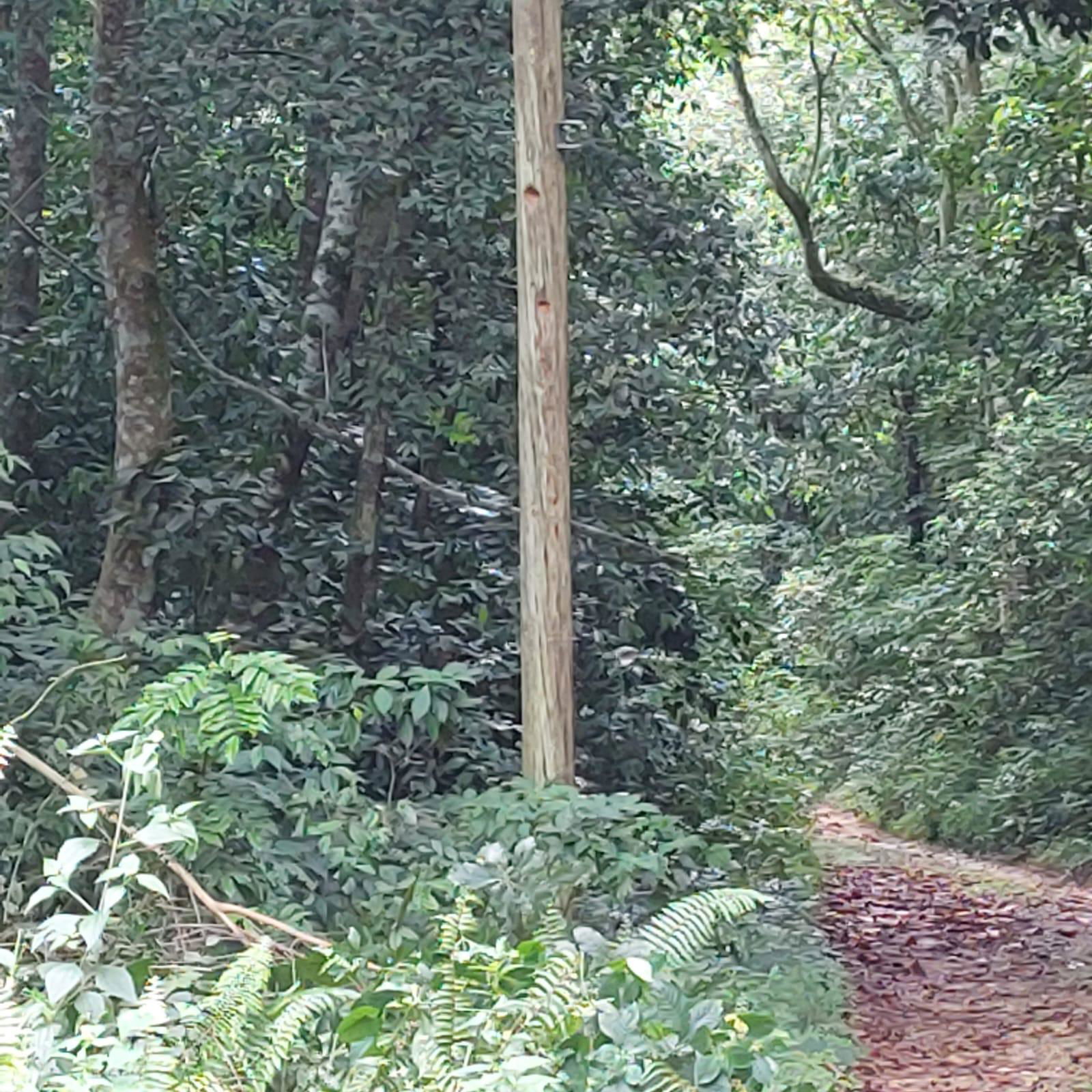 First image of Keith Hall in Sligoville, St. Catherine, Jamaica - property is For Sale