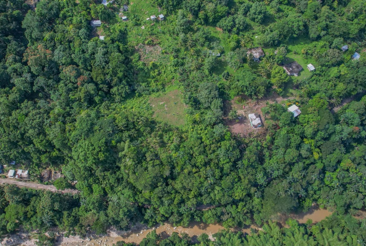 Sixth image of Donalds Land, Retreat in Retreat, St. Mary, Jamaica - property is For Sale
