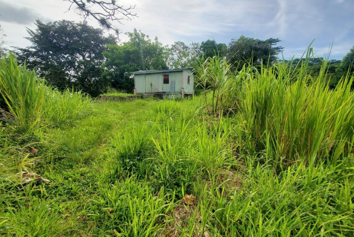 Second image of 62 Lewisburgh, Highgate in Lewisburgh, St. Mary, Jamaica - property is For Sale