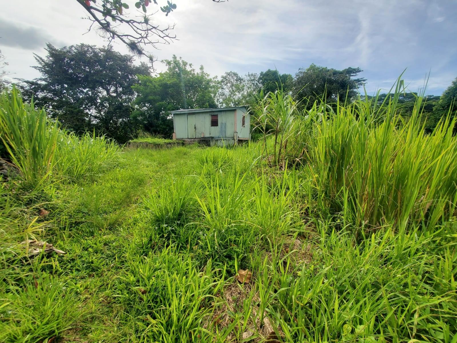 Second image of 62 Lewisburgh, Highgate in Lewisburgh, St. Mary, Jamaica - property is For Sale