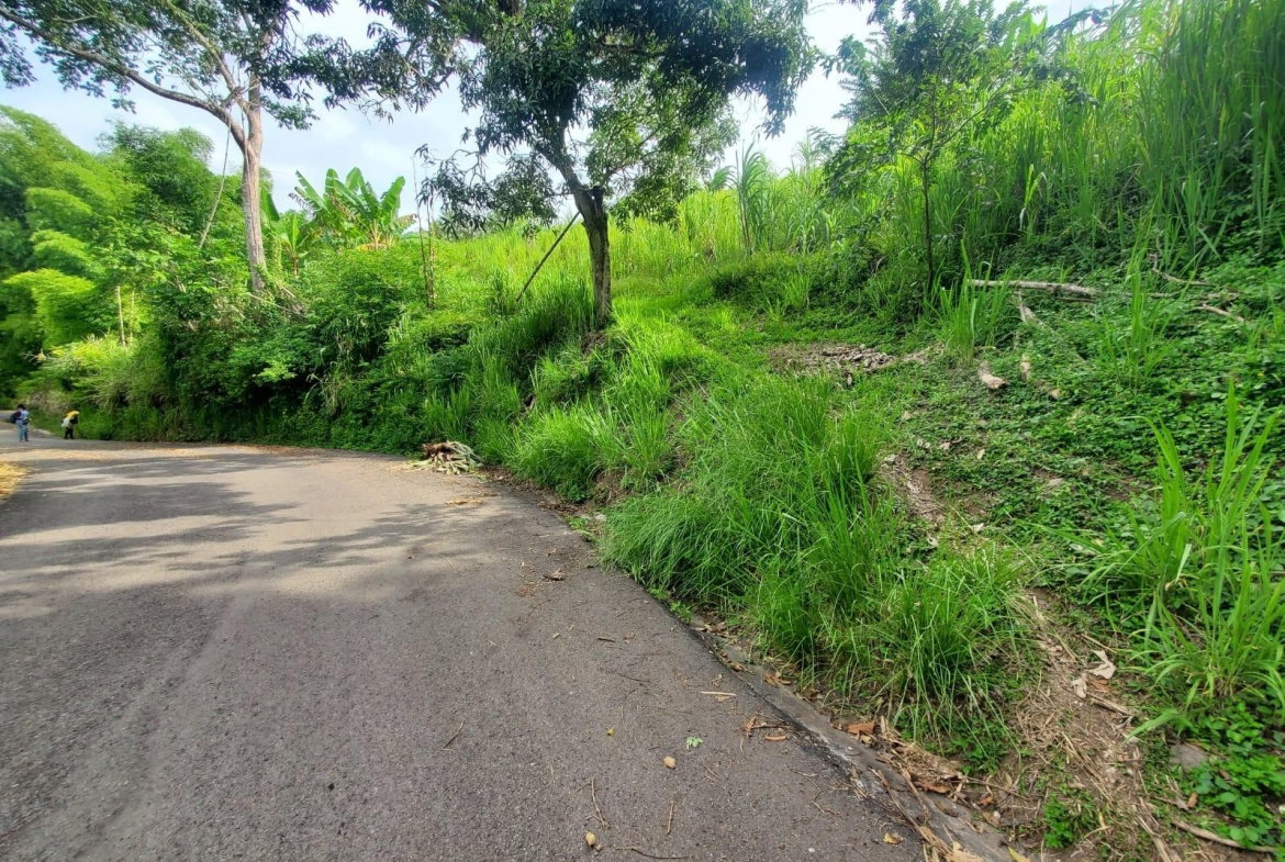 First image of 62 Lewisburgh, Highgate in Lewisburgh, St. Mary, Jamaica - property is For Sale