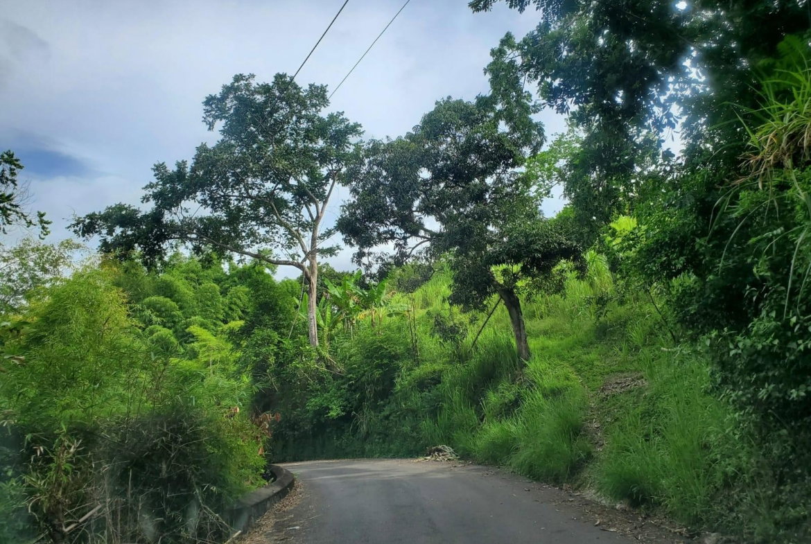 Fourth image of 62 Lewisburgh, Highgate in Lewisburgh, St. Mary, Jamaica - property is For Sale