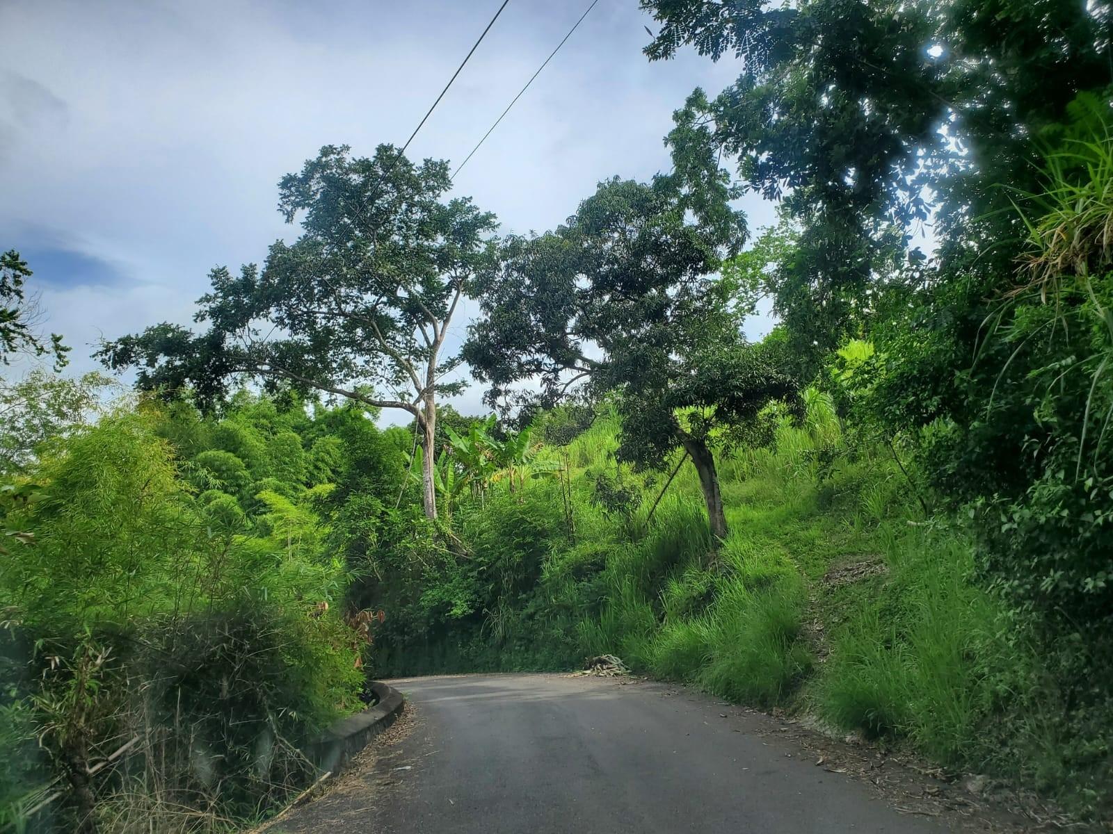 Fourth image of 62 Lewisburgh, Highgate in Lewisburgh, St. Mary, Jamaica - property is For Sale