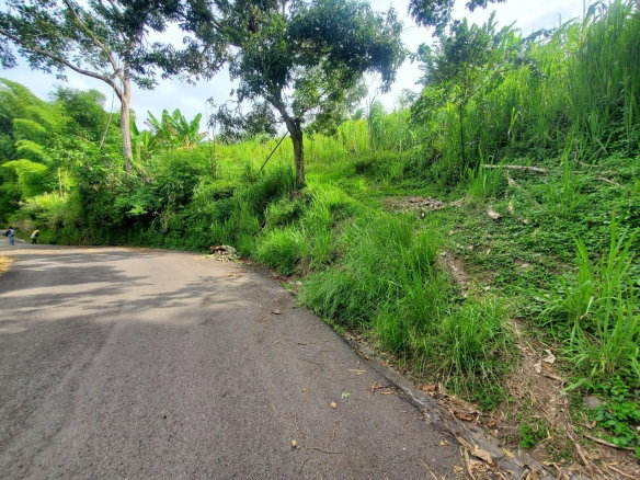 First image of 62 Lewisburgh, Highgate in Lewisburgh, St. Mary, Jamaica - property is For Sale