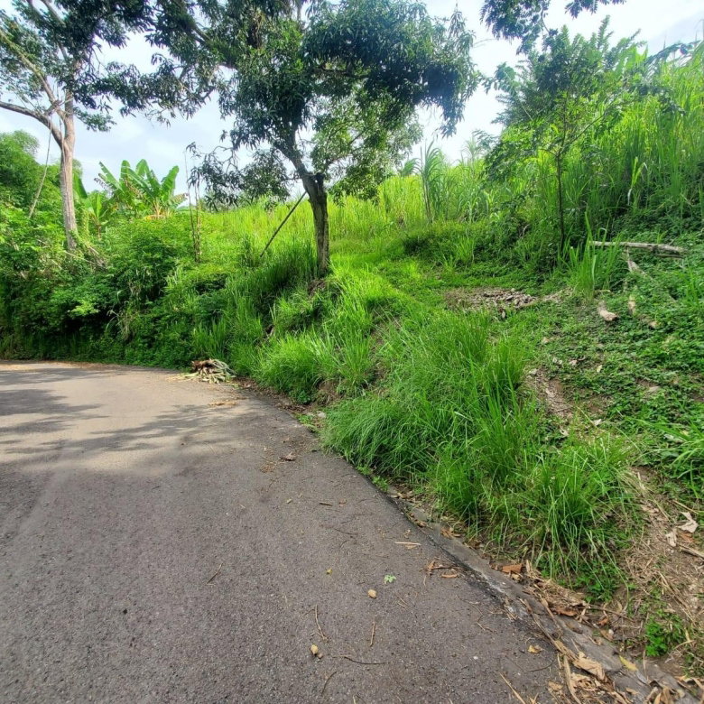 First image of 62 Lewisburgh, Highgate in Lewisburgh, St. Mary, Jamaica - property is For Sale