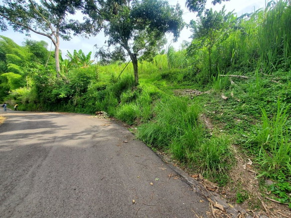 First image of 62 Lewisburgh, Highgate in Lewisburgh, St. Mary, Jamaica - property is For Sale